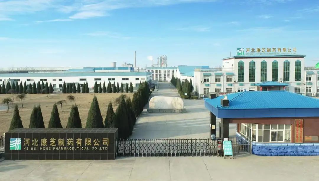 PAÆì½¢Ìü(ÖйúÇø)¹Ù·½ÍøÕ¾-PlayAce