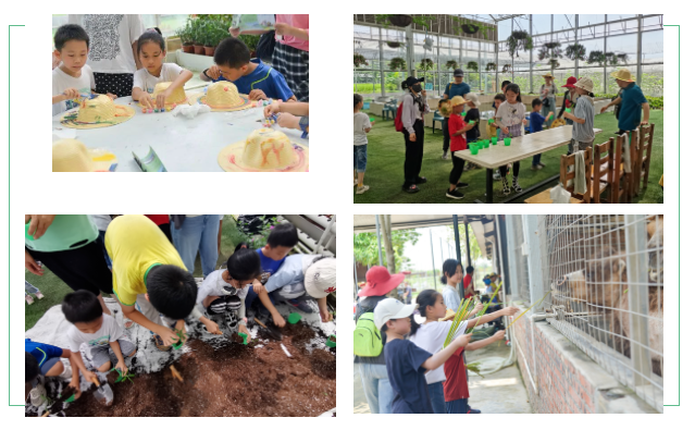 PA�콢��(�й���)�ٷ���վ-PlayAce