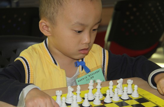 PA�콢��(�й���)�ٷ���վ-PlayAce